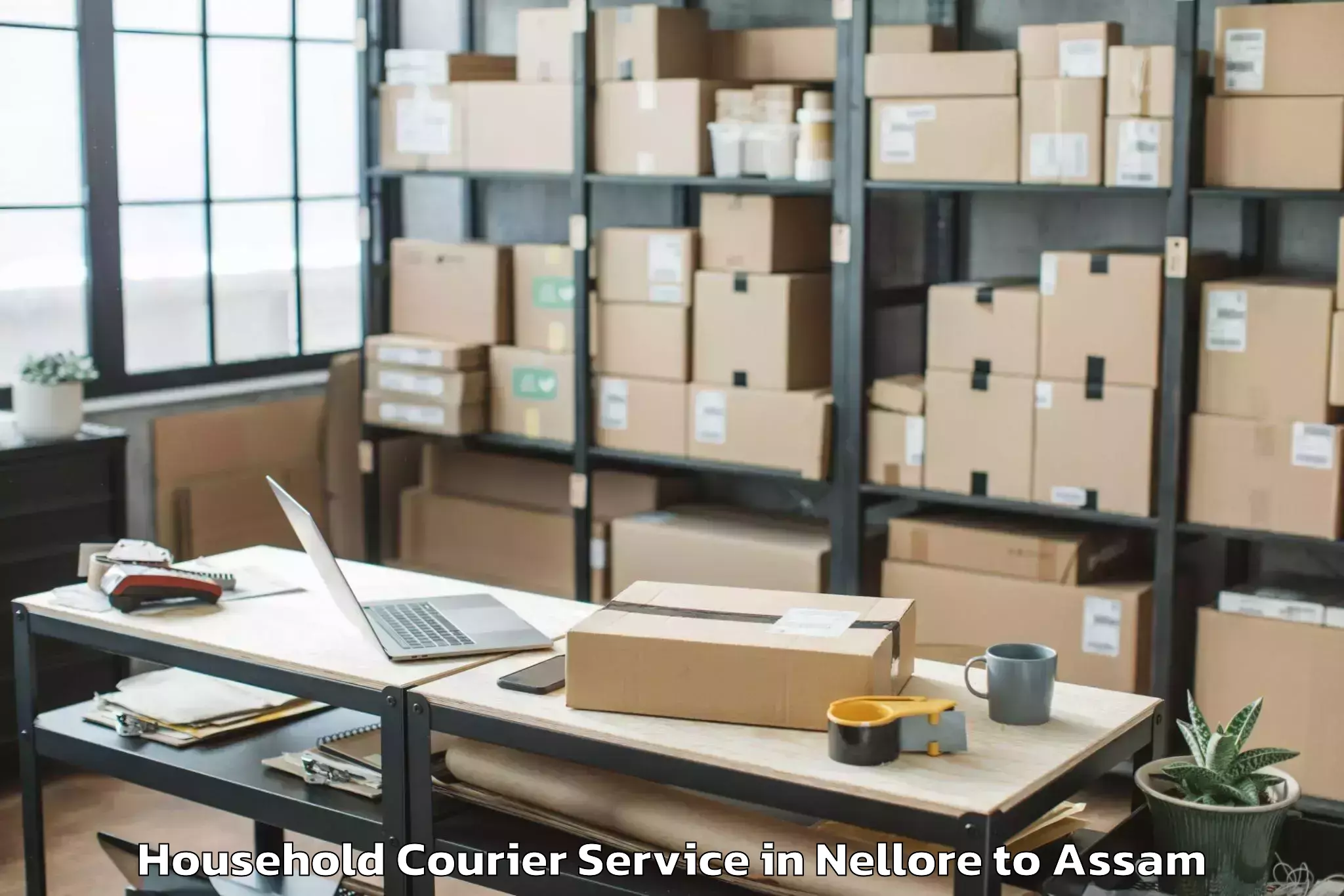 Book Nellore to Guwahati Airport Gau Household Courier Online